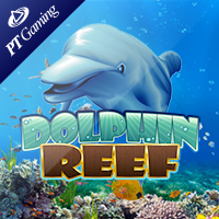 Dolphin Reef